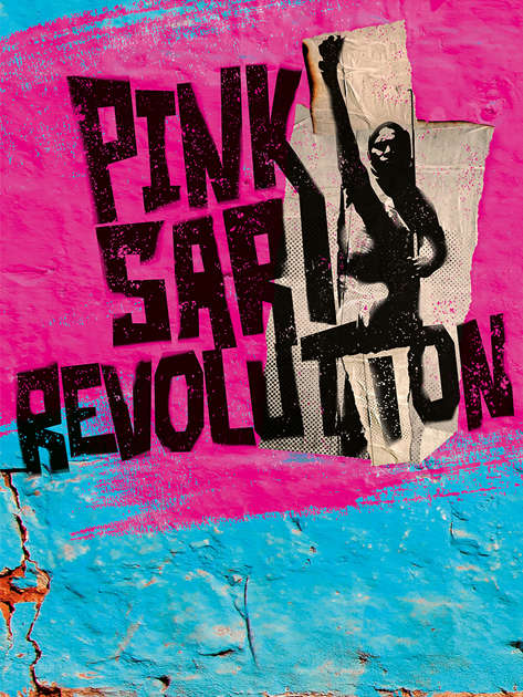 pink_sari_revolution_solas